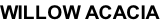 WILLOW ACACIA